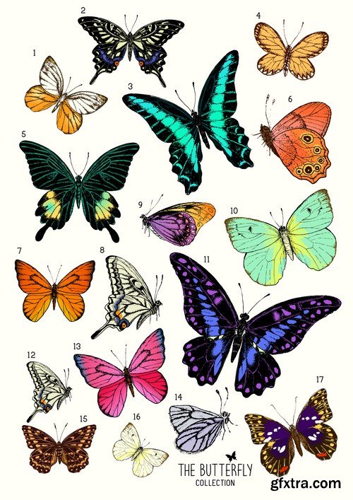 Beautiful Butterflies 3 - 22xEPS