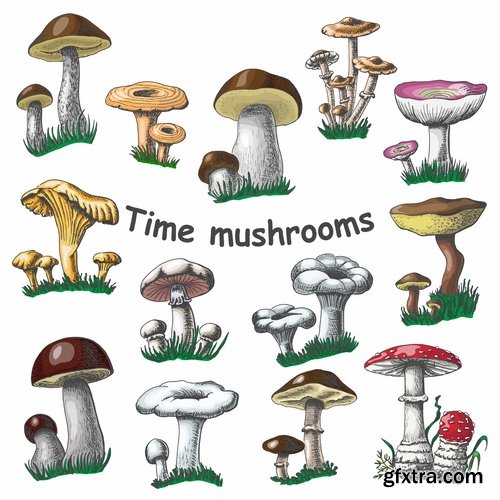 Collection of Mushrooms icon vector image 25 EPS