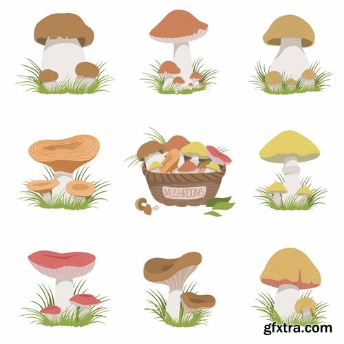 Collection of Mushrooms icon vector image 25 EPS