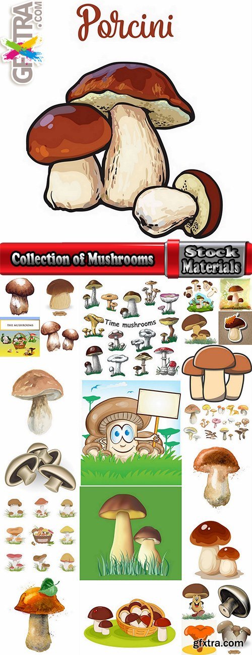 Collection of Mushrooms icon vector image 25 EPS