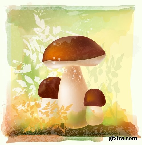 Collection of Mushrooms icon vector image 25 EPS