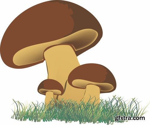 Collection of Mushrooms icon vector image 25 EPS