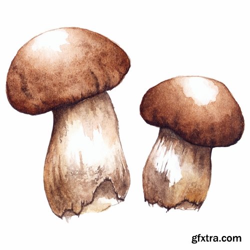 Collection of Mushrooms icon vector image 25 EPS