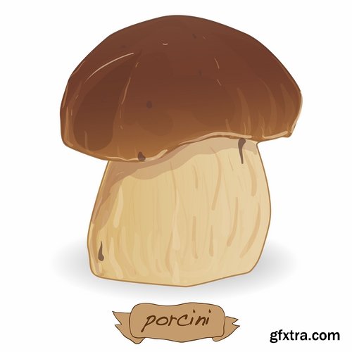 Collection of Mushrooms icon vector image 25 EPS