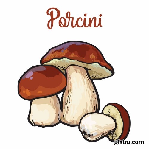 Collection of Mushrooms icon vector image 25 EPS