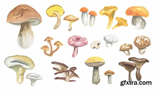 Collection of Mushrooms icon vector image 25 EPS