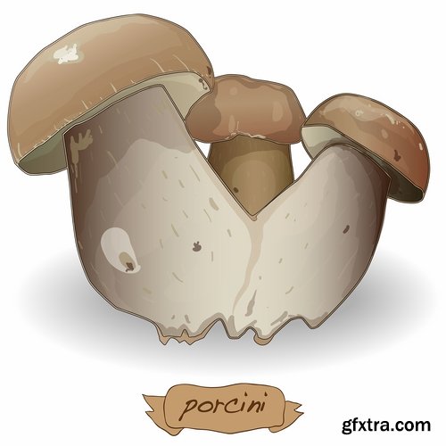 Collection of Mushrooms icon vector image 25 EPS