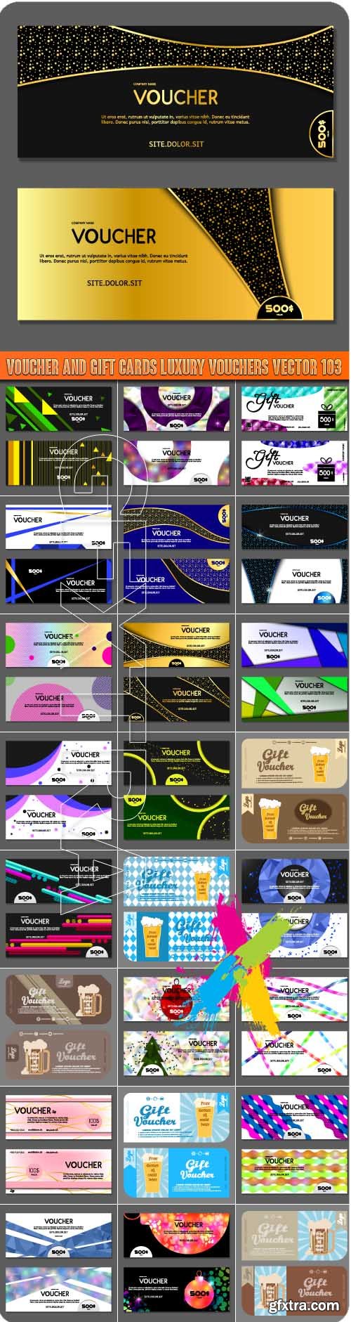 Voucher and gift cards luxury vouchers vector 103