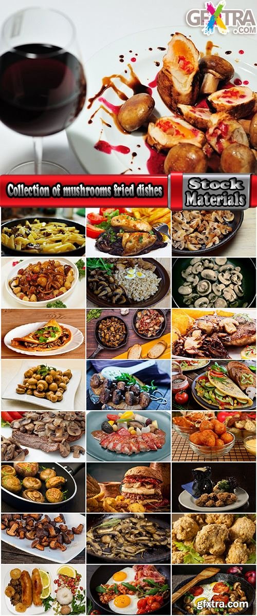 Collection of mushrooms fried dishes with mushrooms chicken salad omelette 25 HQ Jpeg