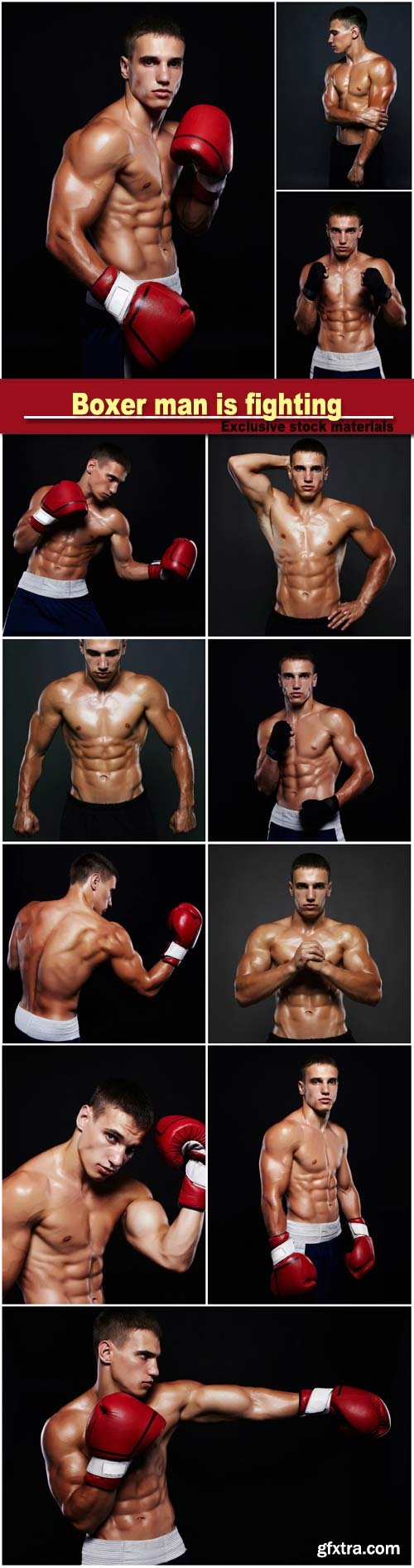 Boxer man is fighting, handsome muscular man, bodybuilding