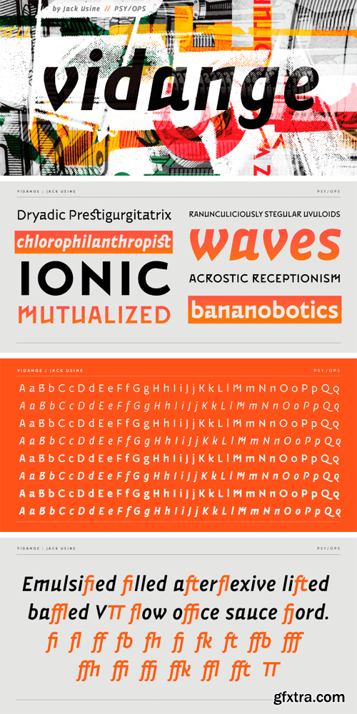 Vidange Pro Font Family