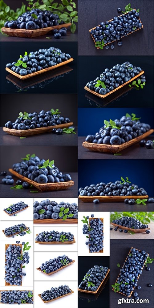 Blueberries on black background