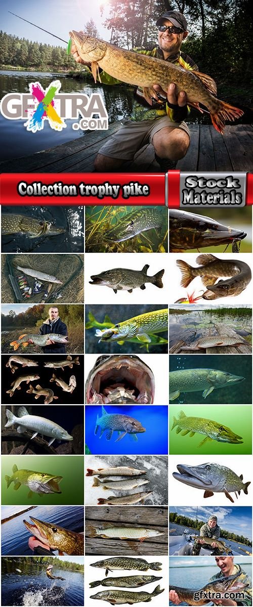 Collection trophy pike fishing mining 25 HQ Jpeg