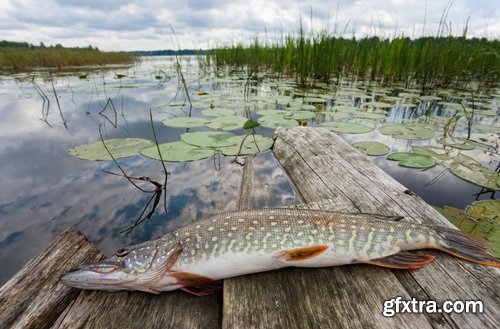 Collection trophy pike fishing mining 25 HQ Jpeg