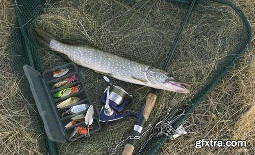 Collection trophy pike fishing mining 25 HQ Jpeg