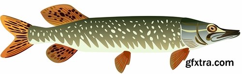 Collection trophy pike fishing mining vector image 25 EPS