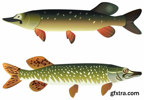 Collection trophy pike fishing mining vector image 25 EPS