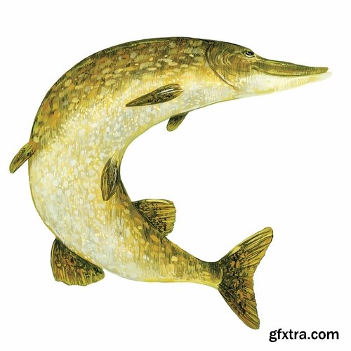 Collection trophy pike fishing mining vector image 25 EPS