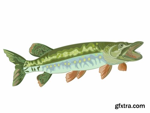 Collection trophy pike fishing mining vector image 25 EPS