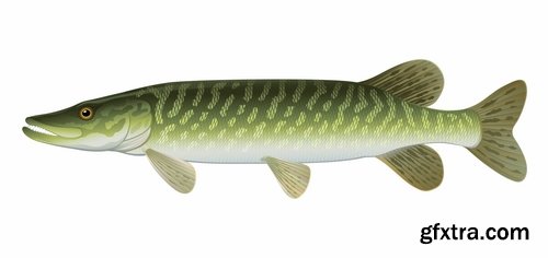 Collection trophy pike fishing mining vector image 25 EPS