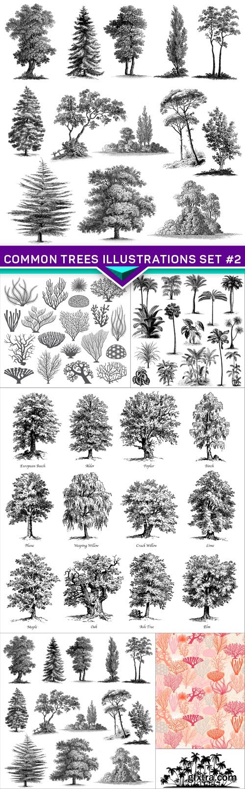 Common trees illustrations set #2 6X EPS