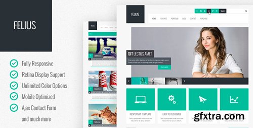 ThemeForest - Felius v1.3 - Responsive Multipurpose Template - 5135117