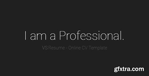 ThemeForest - VSResume v1.0 - Online CV / Resume Template - 12619949