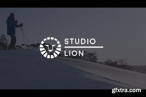 Flat Logo After Effects Templates