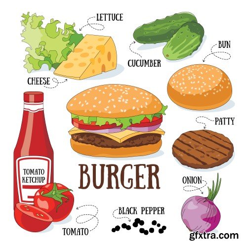 Burger and its ingredients, fast food vector illustration