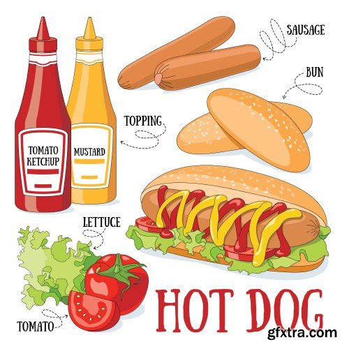 Burger and its ingredients, fast food vector illustration