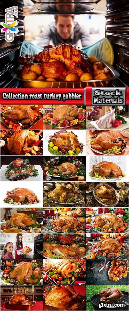 Collection roast turkey gobbler hen holiday dish 25 HQ Jpeg