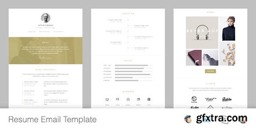 ThemeForest - Resume v1.0 - Responsive Email Template + Online Editor - 12135443