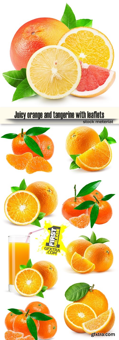 Juicy orange and tangerine with leaflets