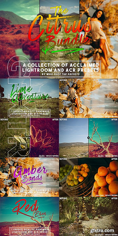 CM - The Citrus Bundle Preset Package 695640