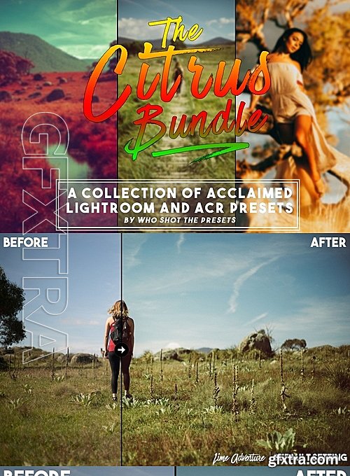 CM - The Citrus Bundle Preset Package 695640