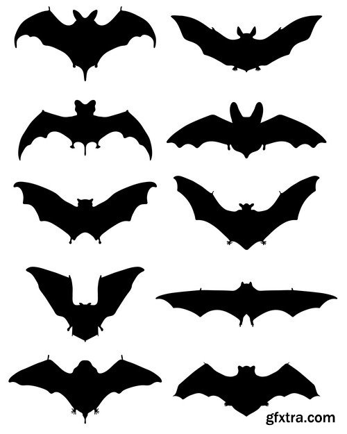 Bat 1 - 5 EPS