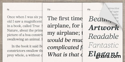 Core Serif N Font Family - Fonts $999