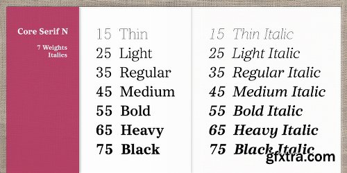 Core Serif N Font Family - Fonts $999