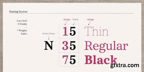 Core Serif N Font Family - Fonts $999