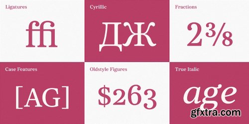 Core Serif N Font Family - Fonts $999