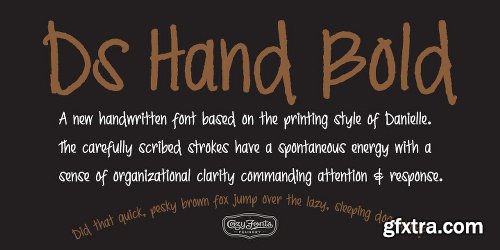 Ds Hand Font Family - 2 Fonts