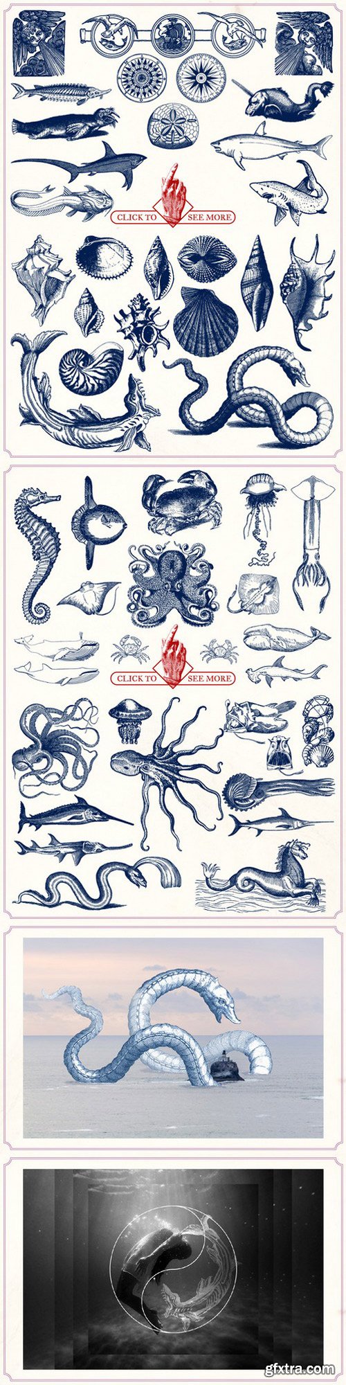 CM - Vintage Nautical Illustrations 797184