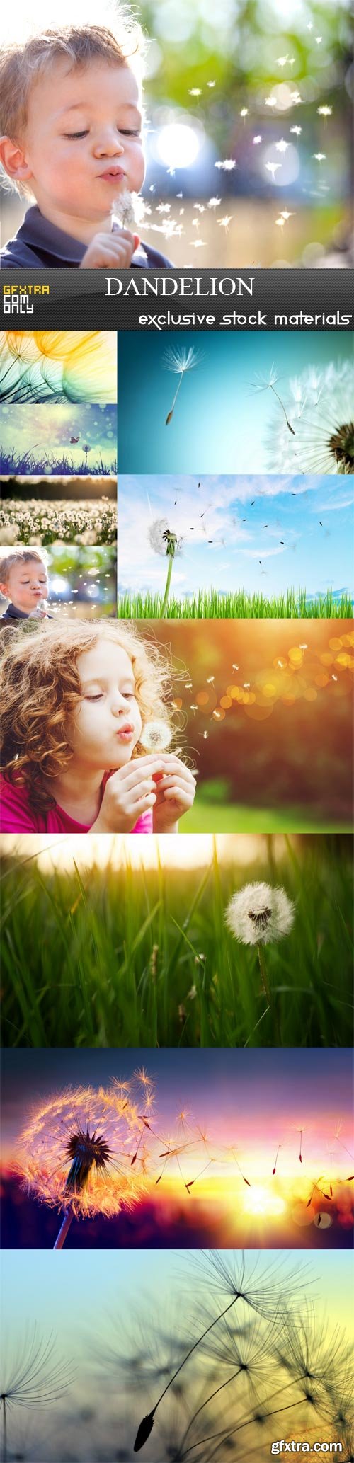 Dandelion, 10 UHQ JPEG