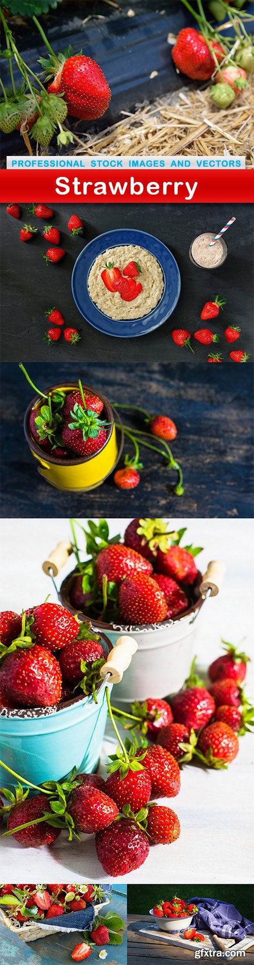 Strawberry - 6 UHQ JPEG