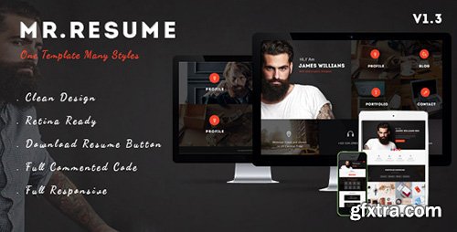 ThemeForest - Morgan v1.1 - Resume, vCard, Personal, Profile and Portfolio WP Theme - 15675262