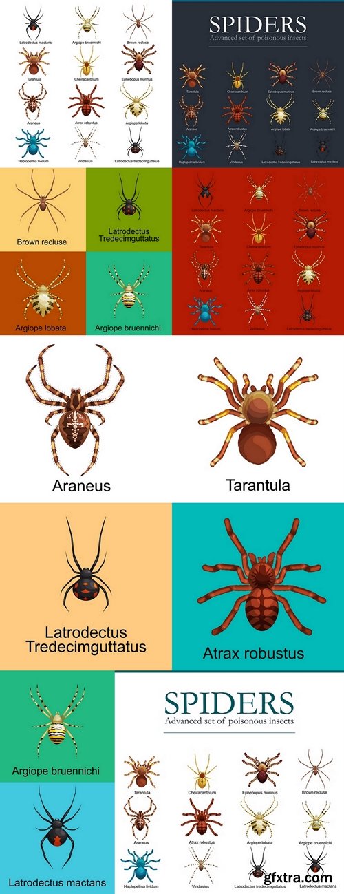 Spiders cartoon set, dangerous insects collection