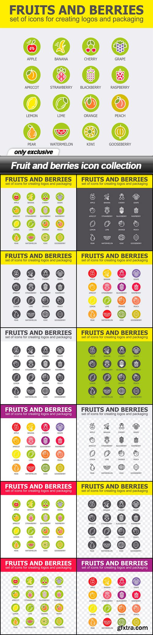 Fruit and berries icon collection - 12 EPS