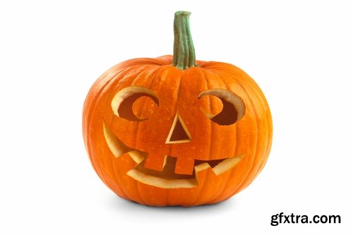 Collection of halloween pumpkin Thanksgiving orange vegetable 25 HQ Jpeg