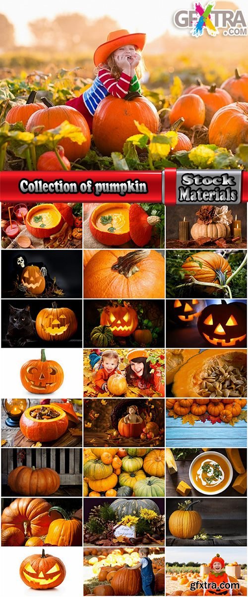 Collection of halloween pumpkin Thanksgiving orange vegetable 25 HQ Jpeg