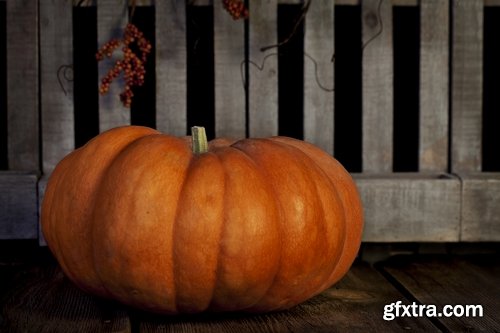 Collection of halloween pumpkin Thanksgiving orange vegetable 25 HQ Jpeg